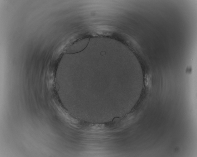 X0000110960915200907022217