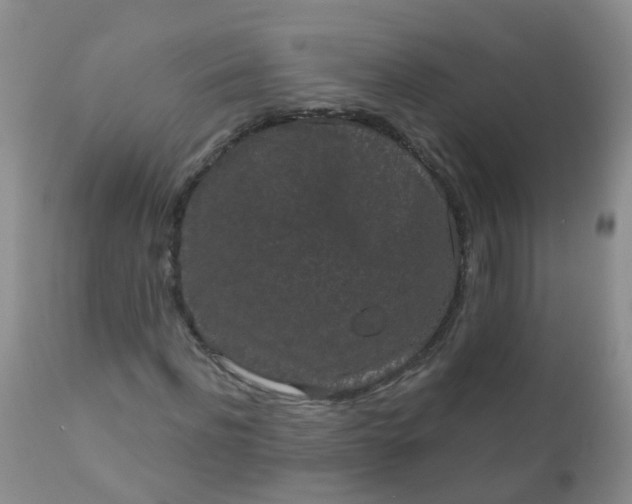 X0000110960916200907022217