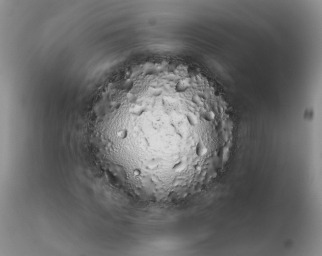 X0000110960917200907022217