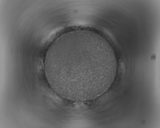 X0000110960918200907022217