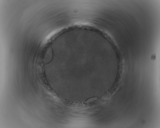 X0000110960919200907022217