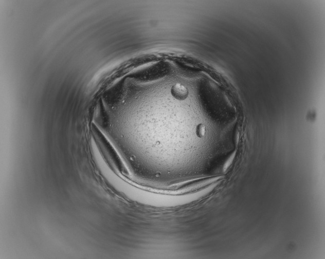 X0000110960920200907022217