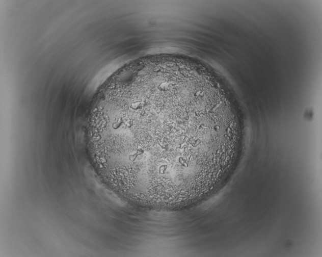 X0000110960921200907022217