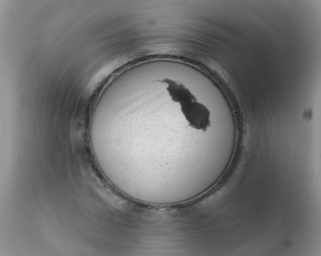 X0000110960922200907022217