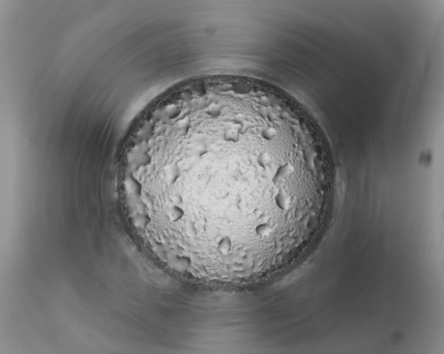 X0000110960925200907022217