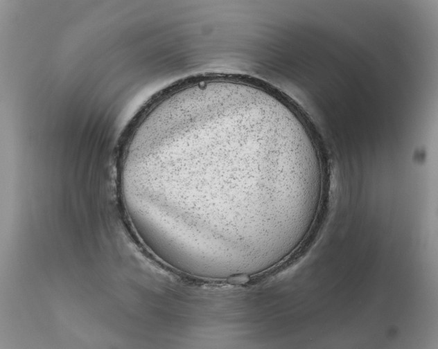 X0000110960926200907022217