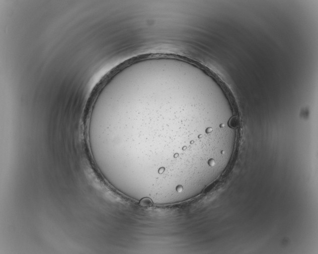 X0000110960928200907022217