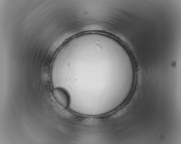 X0000110960929200907022217