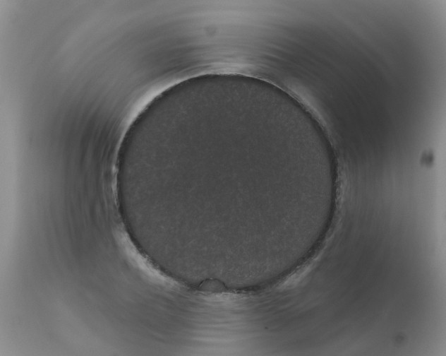 X0000110960932200907022217