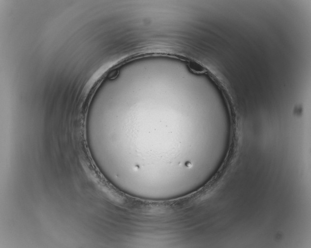 X0000110960933200907022217