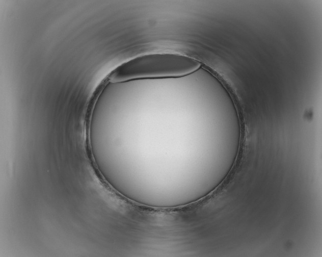 X0000110960936200907022217