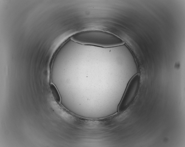 X0000110960940200907022217