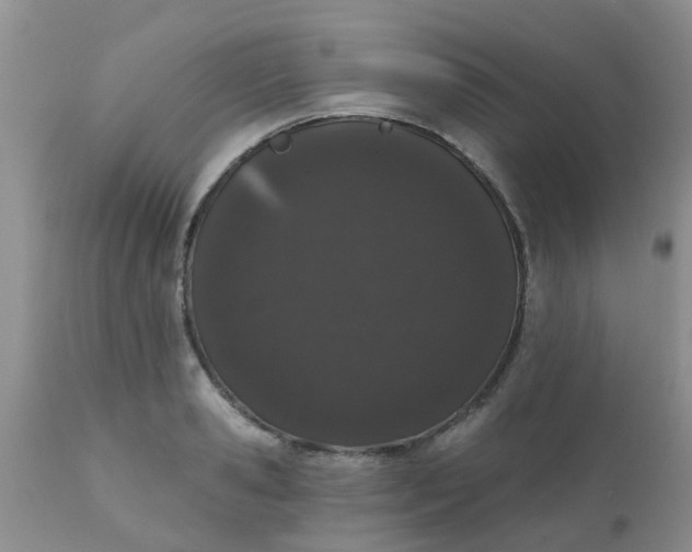 X0000110960941200907022217