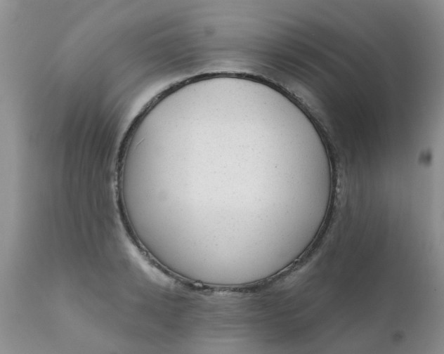 X0000110960942200907022217