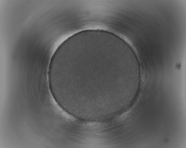 X0000110960943200907022218