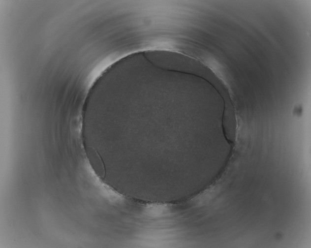 X0000110960944200907022218