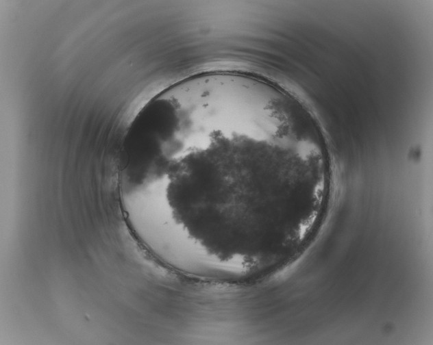 X0000110960945200907022218