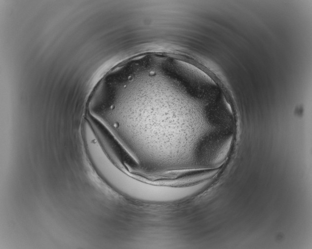 X0000110960946200907022218