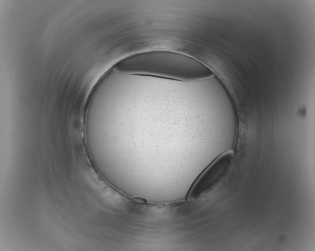 X0000110960948200907022218