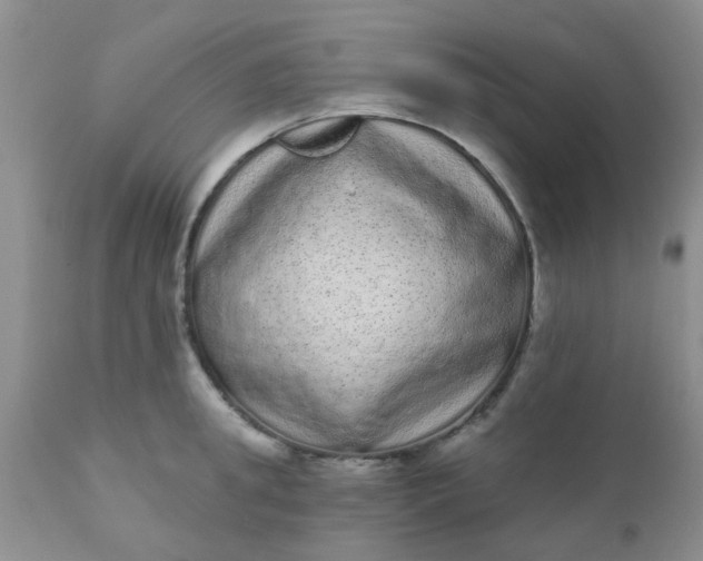 X0000110960949200907022218