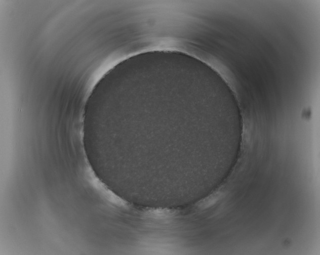 X0000110960950200907022218