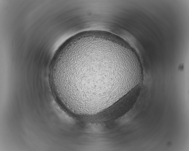 X0000110960952200907022218