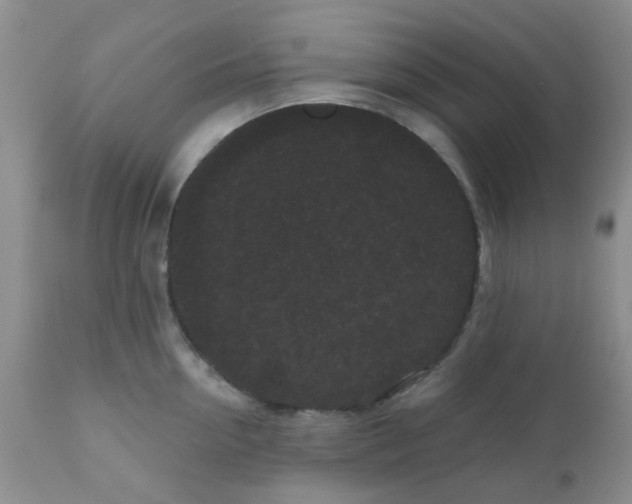 X0000110960954200907022218