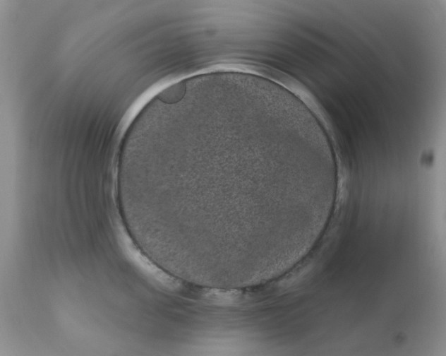 X0000110960955200907022218