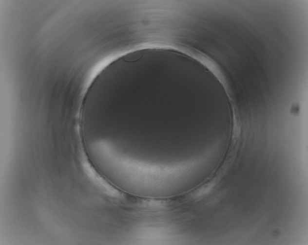 X0000110960958200907022218