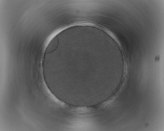 X0000110960959200907022218