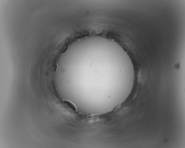 X0000110960961200907022217