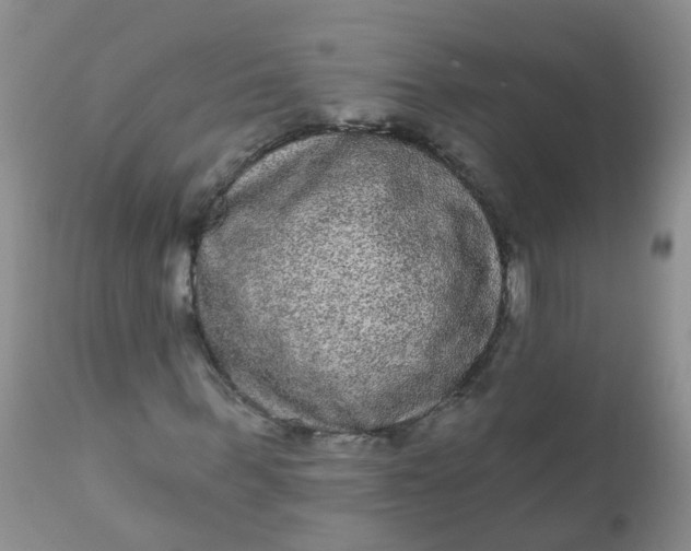 X0000110960963200907022217