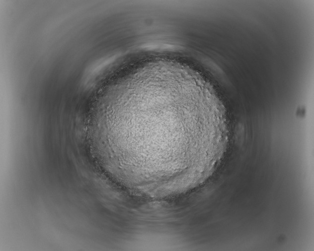 X0000110960966200907022217