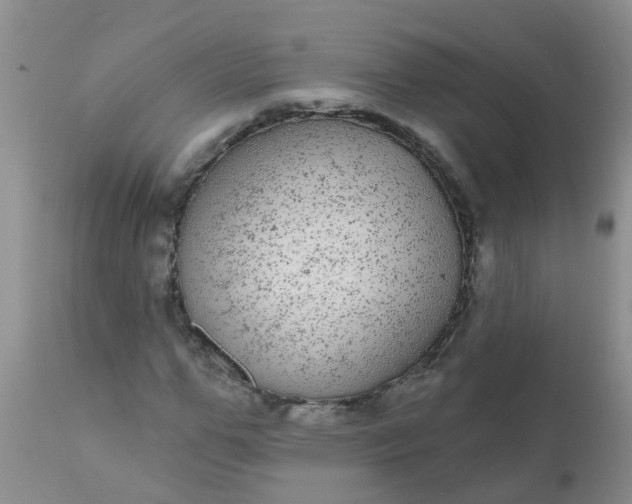 X0000110960967200907022217