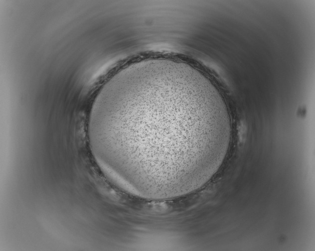 X0000110960968200907022217