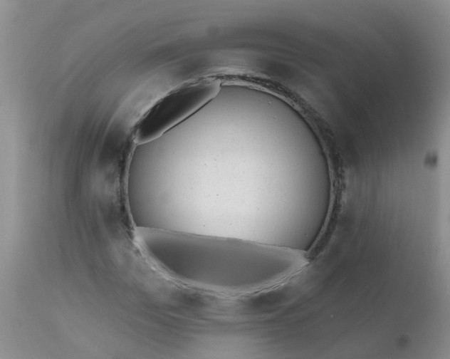 X0000110960969200907022217