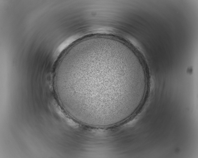 X0000110960970200907022217