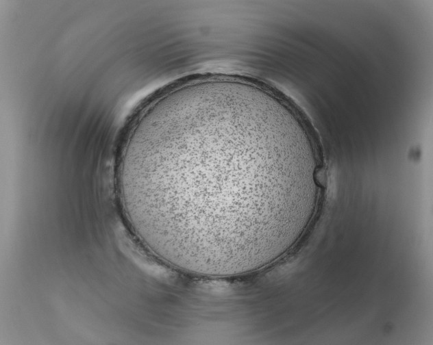 X0000110960971200907022217