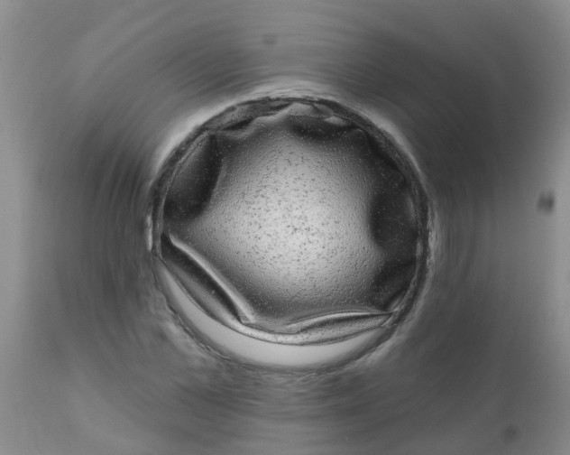 X0000110960973200907022217