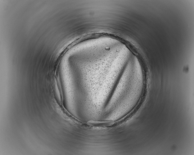 X0000110960977200907022217