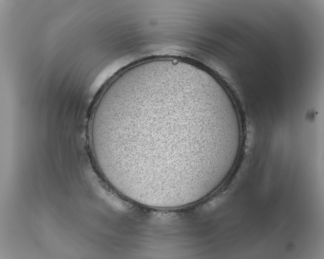 X0000110960978200907022217