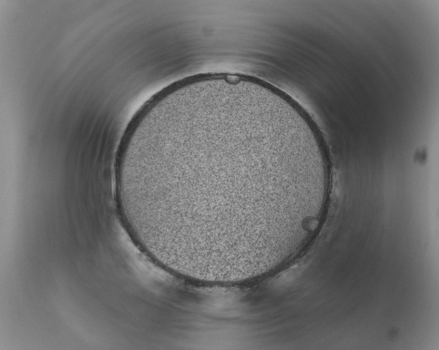 X0000110960980200907022217