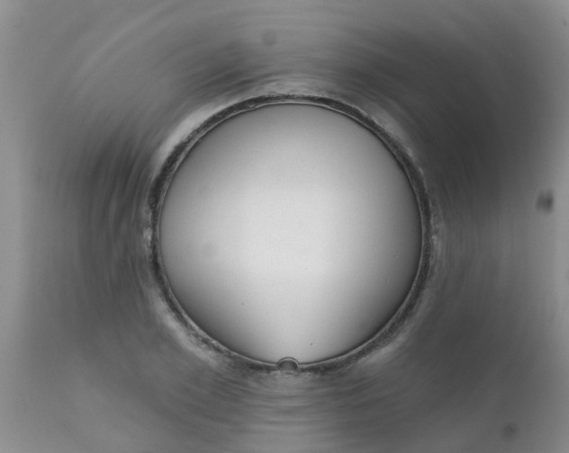 X0000110960981200907022217