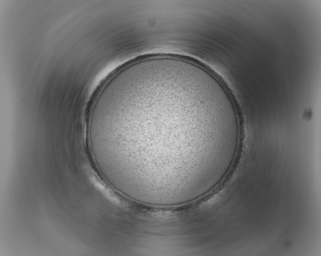 X0000110960982200907022217