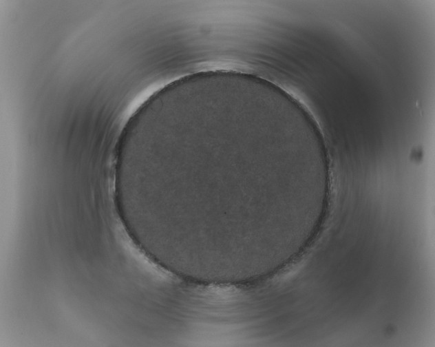 X0000110960983200907022217