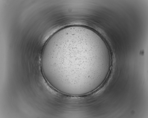 X0000110960985200907022217