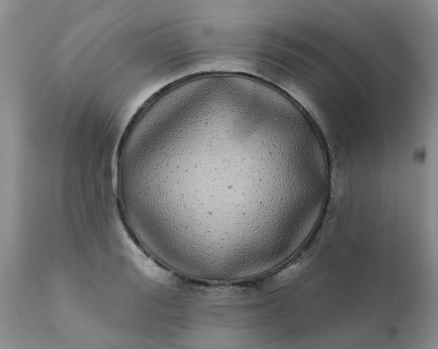 X0000110960988200907022217