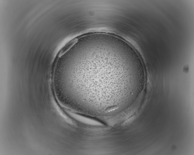 X0000110960989200907022217