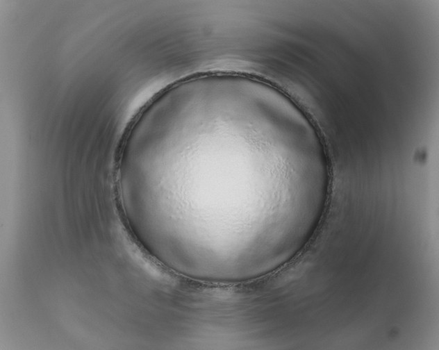 X0000110960990200907022217