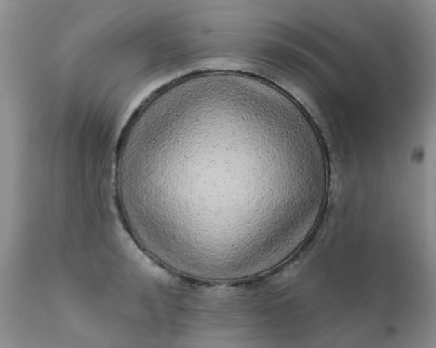 X0000110960992200907022216